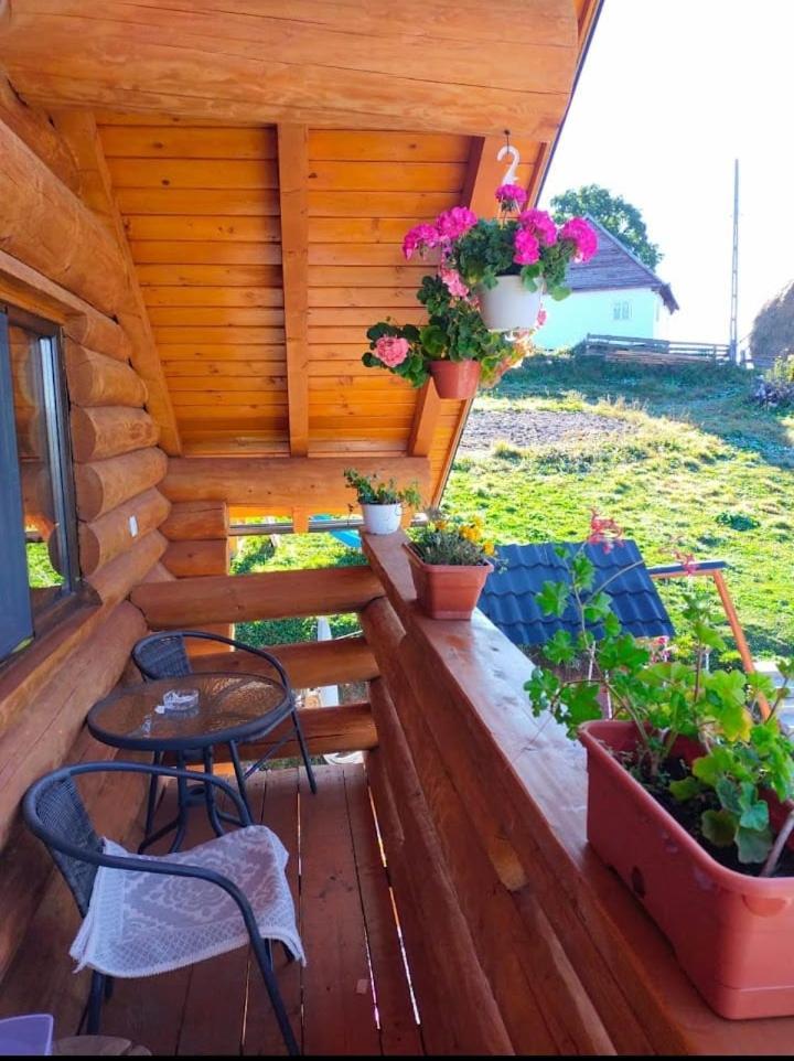 Cabana Colt De Munte Гырда-де-Сус Экстерьер фото