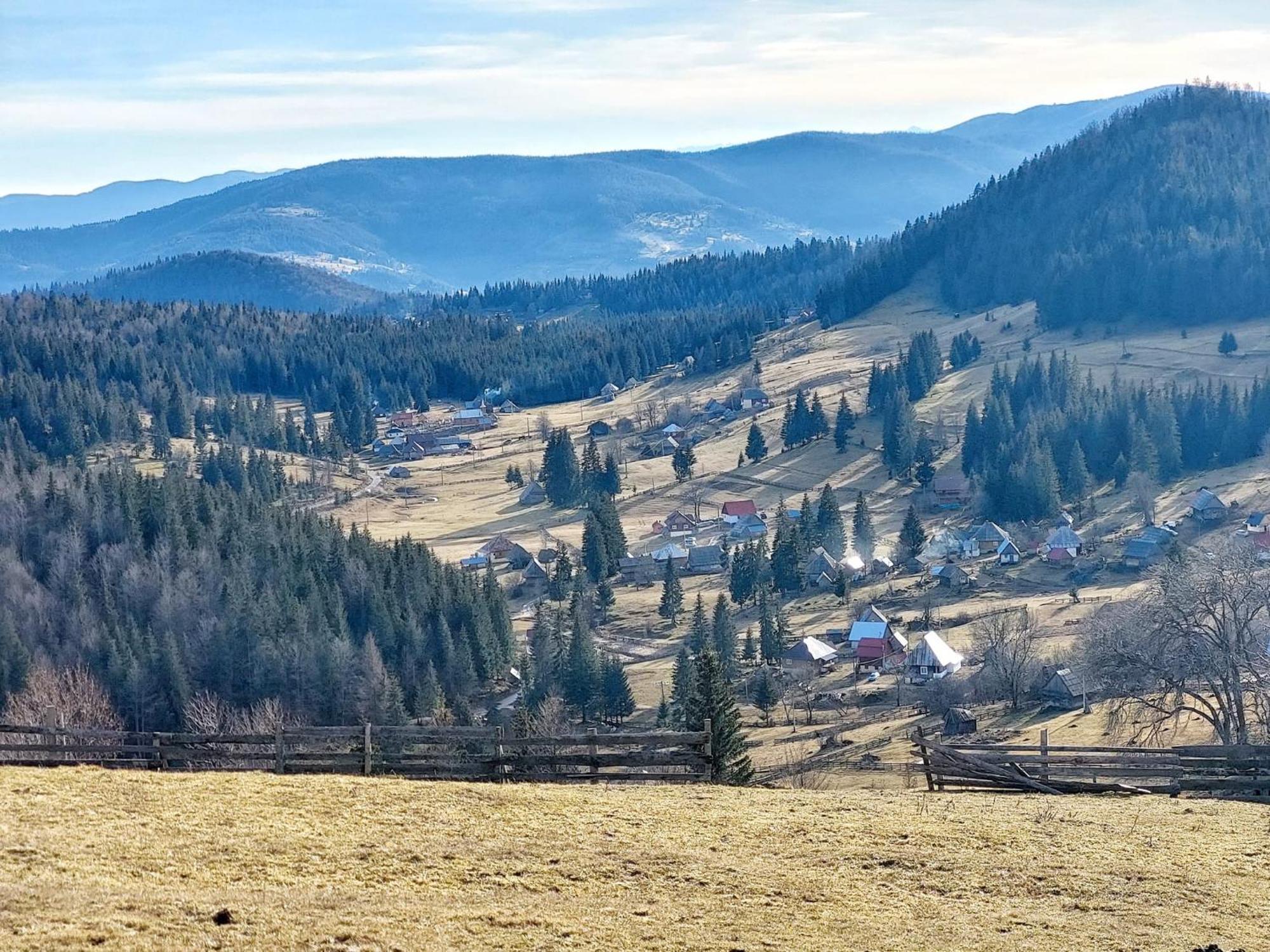 Cabana Colt De Munte Гырда-де-Сус Экстерьер фото